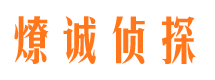 鹤城市调查公司